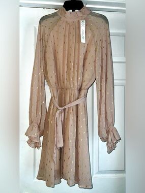 NWTs She & Sky Sheer Pink Gold-Accent Long Sleeve Dress